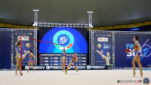 esibizioni farfalle ph simone ferraro sfa07055 copia